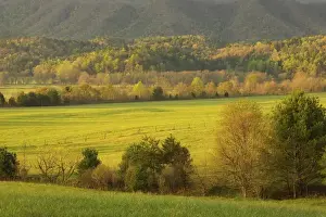 Images Dated 9th June 2010: North America, USA, Tennessee, Great Smoky Mountain NP. Pasture in Cades Cove
