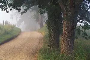 Gravel Prints: North America, USA, Tennessee, Smokey Mountains National Park. Pastoral road, Cades Cove