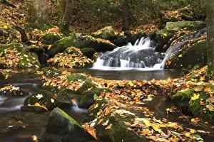 Images Dated 26th October 2010: North America, USA, Tennessee. Stream in the fall in the Great Smoky Mountains