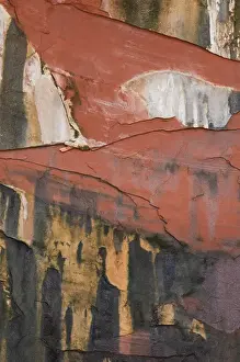 North America, USA, Utah. Abstract design formed from seeps in canyon wall, Double Arch Alcove