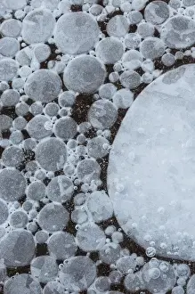 Images Dated 7th March 2010: North America, USA, Utah. Abstract frozen ice bubbles Rill Creek, Moab, UT