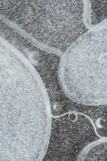 North America, USA, Utah. Abstract frozen ice pattern, Mill Creek, Moab, UT