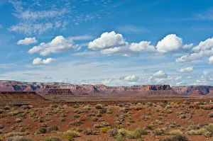 National Prints: North America, USA, Utah, Bluff, Valley of The Gods, Panorama, Bears Ears National