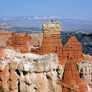 Images Dated 26th October 2009: North America, USA, Utah, Bryce Canyon, N. P. Hoodos, Towers and Pinacles