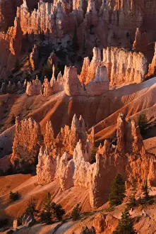 Images Dated 24th October 2009: North America, USA, Utah, Bryce Canyon National Park