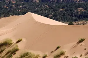 Area Prints: North America - USA - Utah - Coral Pink Sand Dunes State Park