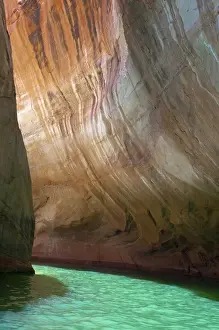 North America, USA, Utah, Glen Canyon National Recation Area. Detail of Escalente River Tributary