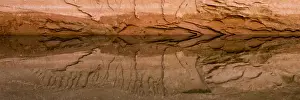 North America, USA, Utah, Glen Canyon National Recreation Area. Tapestry Wall area detail