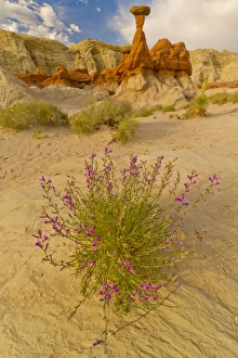 North America, USA, Utah, Grand Staircase Escalante National Monument