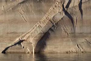 Images Dated 20th May 2015: North America, USA, Utah. Sandstone canyon wall detail