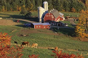 North America, USA, Vermont, Pomfret. Red Barn and fall foliage