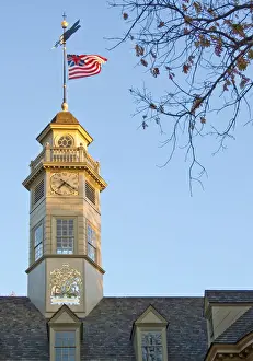 Weather Vane Prints: North America, USA, Virginia, Colonial Williamsburg. Capitol Building and the Grand