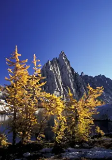 North America, USA, WA, Enchantment Lakes Prusik peak and golden larches at Gnome Tarn