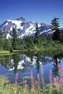 North America, USA, WA, Heather Meadows Recreation Area Mt. Shuksan at Highwood Lake
