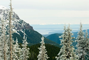 Images Dated 18th November 2006: North America, USA, WA, Olympic National Park. View from Olympic Mountains across