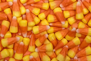North America, USA, WA, Redmond candy corn patter