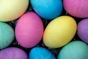 North America, USA, WA, Redmond Easter Eggs pattern