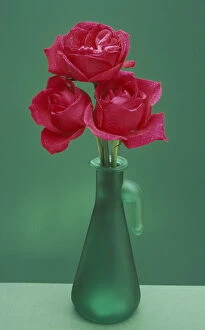 North America, USA, WA, Redmond red roses in green vase winter