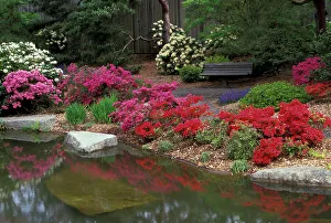 Images Dated 7th March 2005: North America, USA, WA, Seattle, Washington Park Arboretum, Japanese Garden
