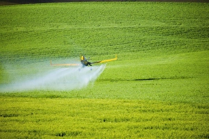 Images Dated 21st June 2005: North America, USA, Washington, Palouse Country, Crop Duster working pring Wheat Fields