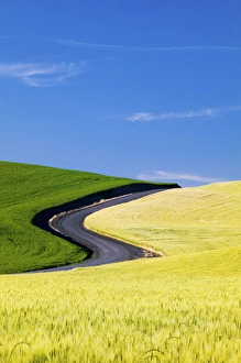 Images Dated 30th June 2005: North America, USA, Washington, Palouse Country, Road Leading Through Spring and Winter