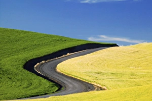 Images Dated 30th June 2005: North America, USA, Washington, Palouse Country, Road Leading Through Spring and Winter