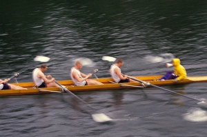 Images Dated 8th December 2005: North America, USA, Washington, Seattle, Montlake Cut near University of WA, teamwork