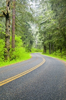 Images Dated 24th April 2005: North America, USA, Washington, Olympic National Park, Road Leading Through the Northern
