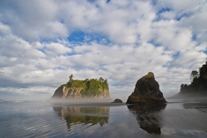 Images Dated 31st July 2011: North America, USA, Washington, Olympic National Park