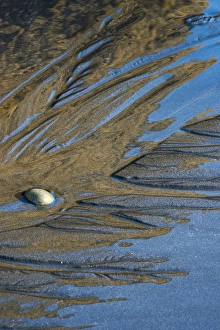Images Dated 18th April 2015: North America, USA, Washington, Olympic National Park. Detail design of sand, water