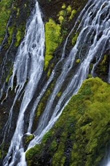 Images Dated 17th April 2015: North America, USA, Washington, Gifford Pinchot National Forest. Detail of water