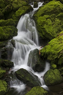 Images Dated 14th October 2017: North America, USA, Washington. Detail of small unnamed falls near Fall Creek Falls
