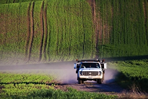 North America, USA, Washington, Spring in Palouse Country Washington