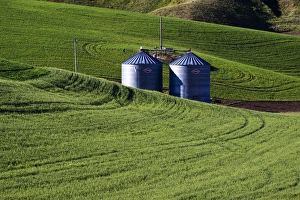 Images Dated 10th June 2009: North America, USA, Washington, Spring in Palouse Country Washington