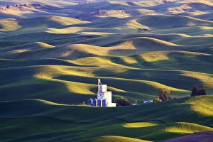 Images Dated 10th June 2009: North America, USA, Washington, Spring in Palouse Country Washington with Grain Silo