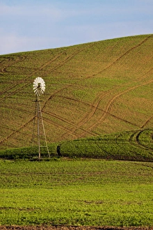 Images Dated 10th June 2009: North America, USA, Washington, Spring in Palouse Country Washington with Weather Vain