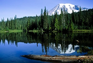Images Dated 9th October 2008: North America, USA, Washington, Mt Rainier National Park. Mt. Rainier reflected in