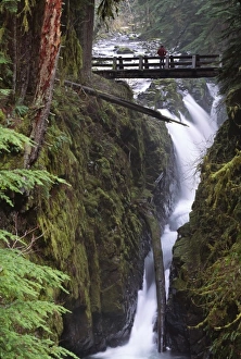 North America, USA, Washington, Olympic National Park. Sol Duc Falls and bridge