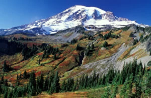 North America, USA, Washington, Mount Rainier National Park. Mount Rainier in Fall