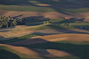 Images Dated 1st June 2006: North America, USA, Washington, Palouse area. Scene at dawn from Steptoe Butte