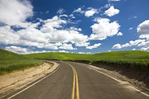 Images Dated 9th June 2011: North America; USA; Washington; Palouse Country; Back road through the green fields of