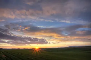 Images Dated 11th June 2011: North America; USA; Washington; Palouse Country; Rolling Hills of Green Spring Wheat