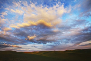 Images Dated 11th June 2011: North America; USA; Washington; Palouse Country; Rolling Hills of Green Spring Wheat