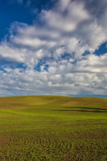 Images Dated 28th May 2012: North America; USA; Washington; Palouse Country; Spring Rolling Hills of Wheat and Fallow