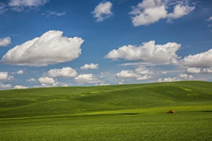 North America; USA; Washington; Palouse Country; Spring Rolling Hills of Wheat and Fallow