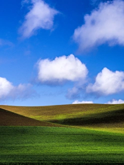 Images Dated 30th May 2013: North America; USA; Washington; Palouse Country; Spring Wheat Field and Clouds