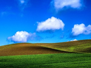 Images Dated 30th May 2013: North America; USA; Washington; Palouse Country; Spring Wheat Field and Clouds