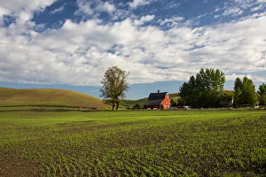 North America; USA; Washington; Red Barn in Spring