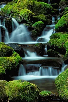 Olympics Prints: North America; USA; Washington, Sol Duc Cascade