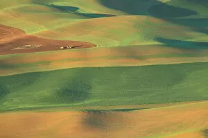 Images Dated 11th May 2006: North America, USA, Washington State, Whitman County. Palouse Farmland, view